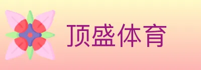 顶盛体育 logo